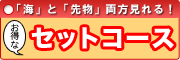 セットコース