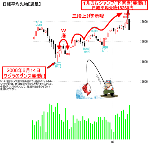 イルカのジャンプ